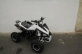 /products/atv-speedy-125/